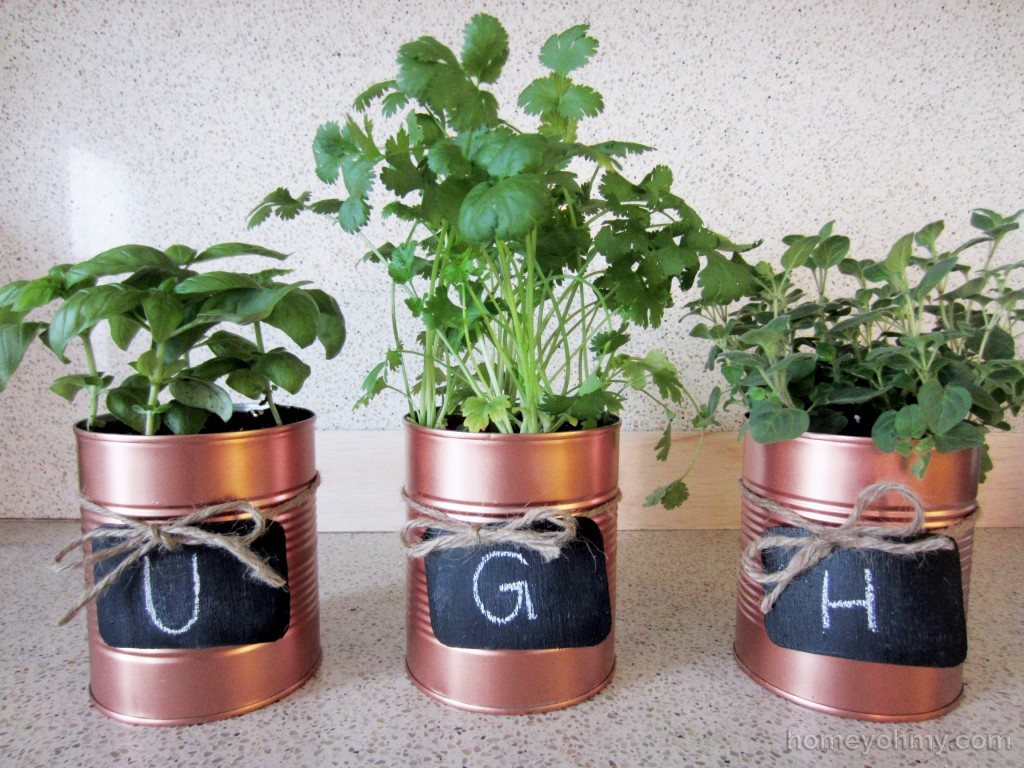 Tin Can Planters Ugh