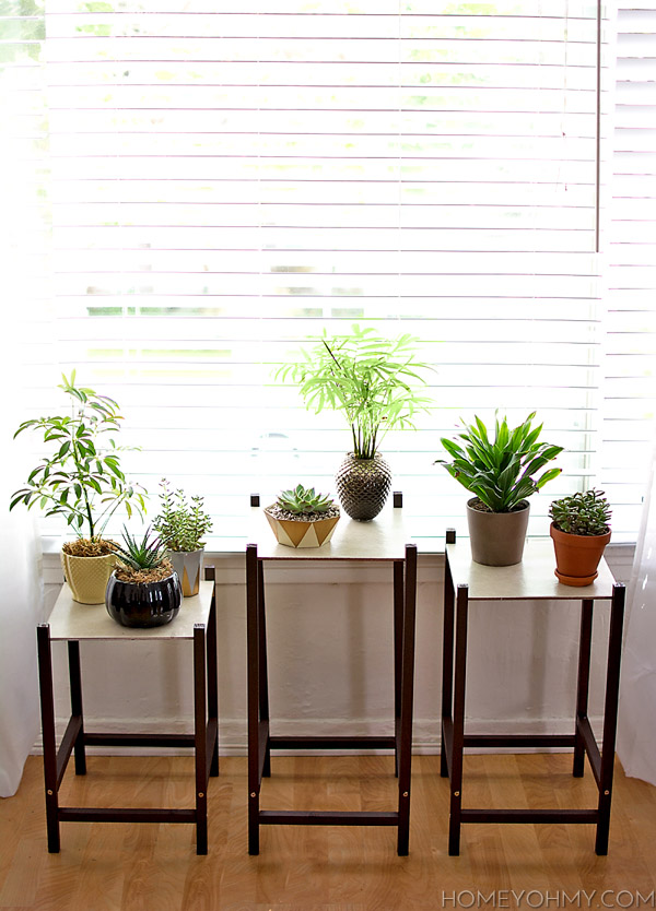 DIY Modern Plant Stands @homeyohmy