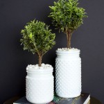 Topiaries Inspired by The Plant Recipe Book