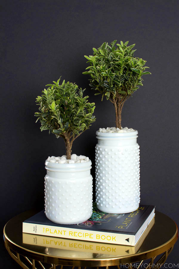 Topiaries- Inspired by The Plant Recipe Book 2