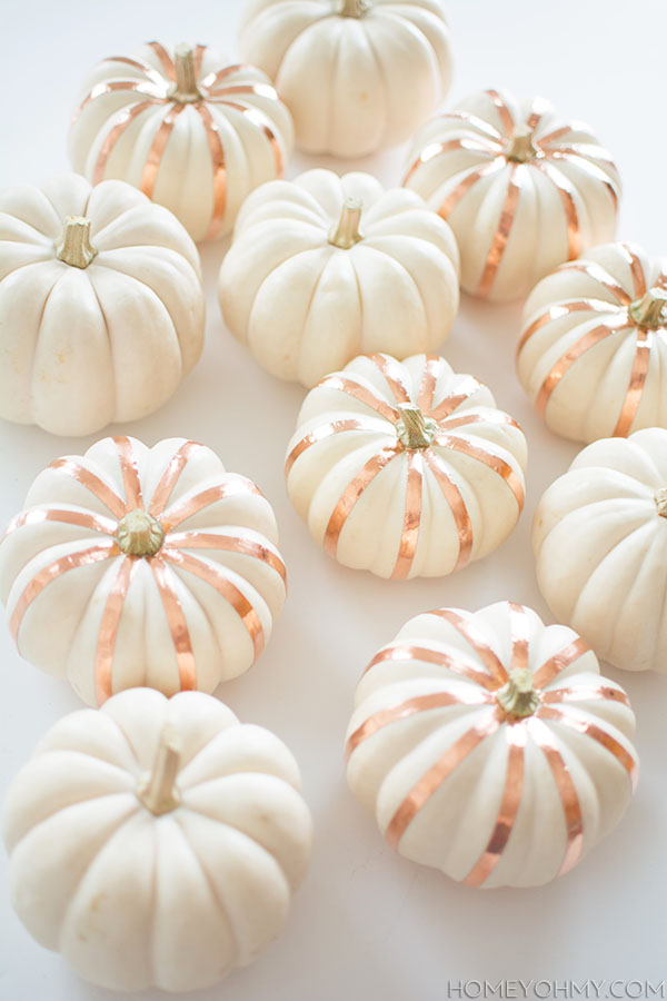 Copper striped white pumpkins