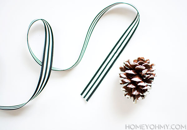 ribbon and pinecone