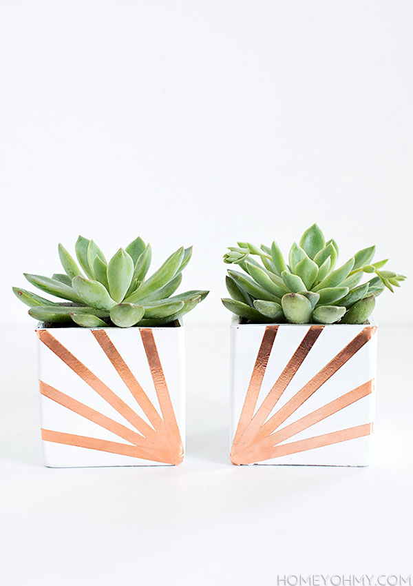 Copper and White Succulent Planter DIY
