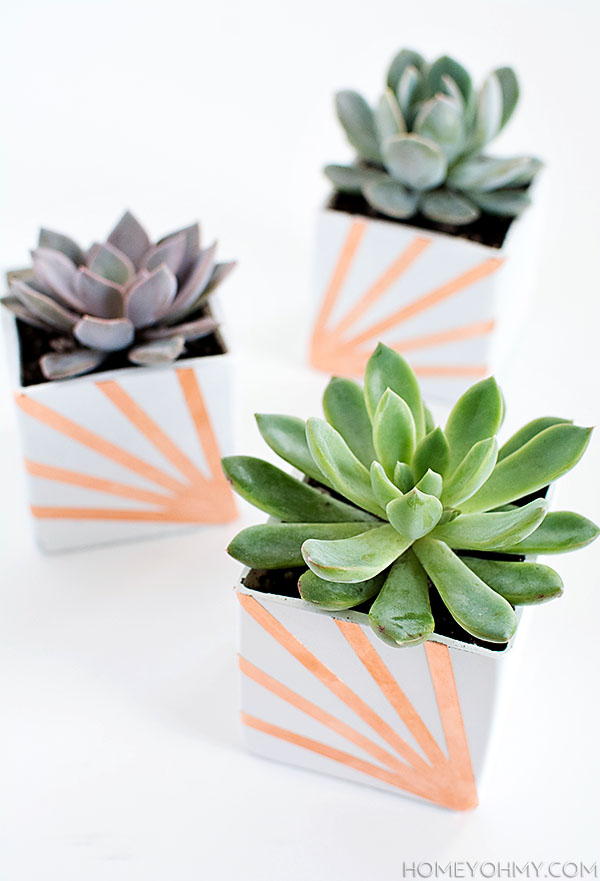 Copper and White Succulent Planters- DIY