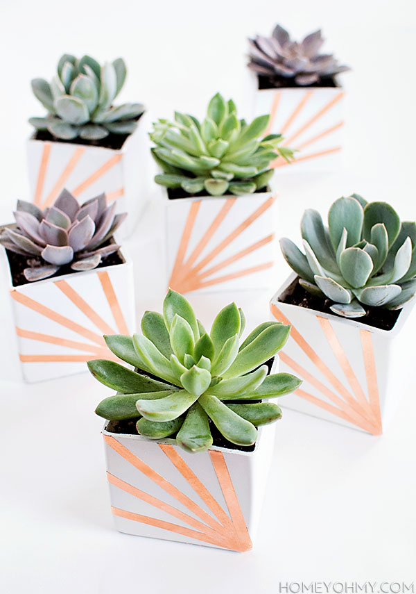 Copper and White Succulent Planters