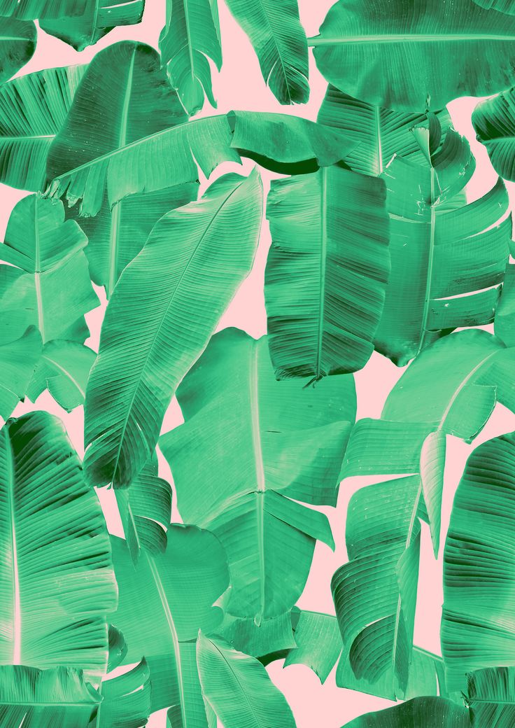 banana leaves