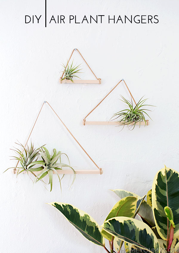 DIY Airplant Hangers