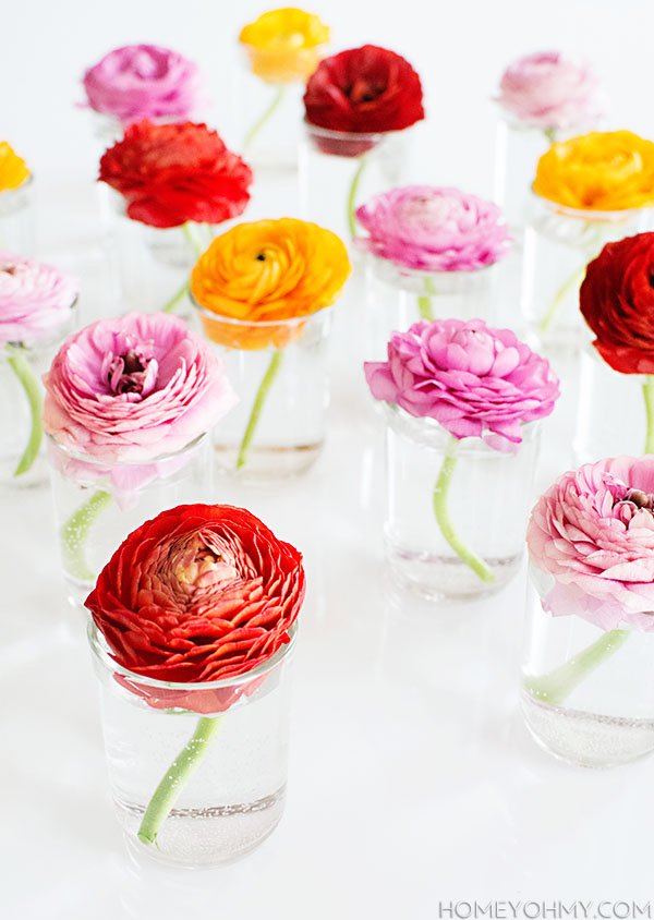 Ranunculus