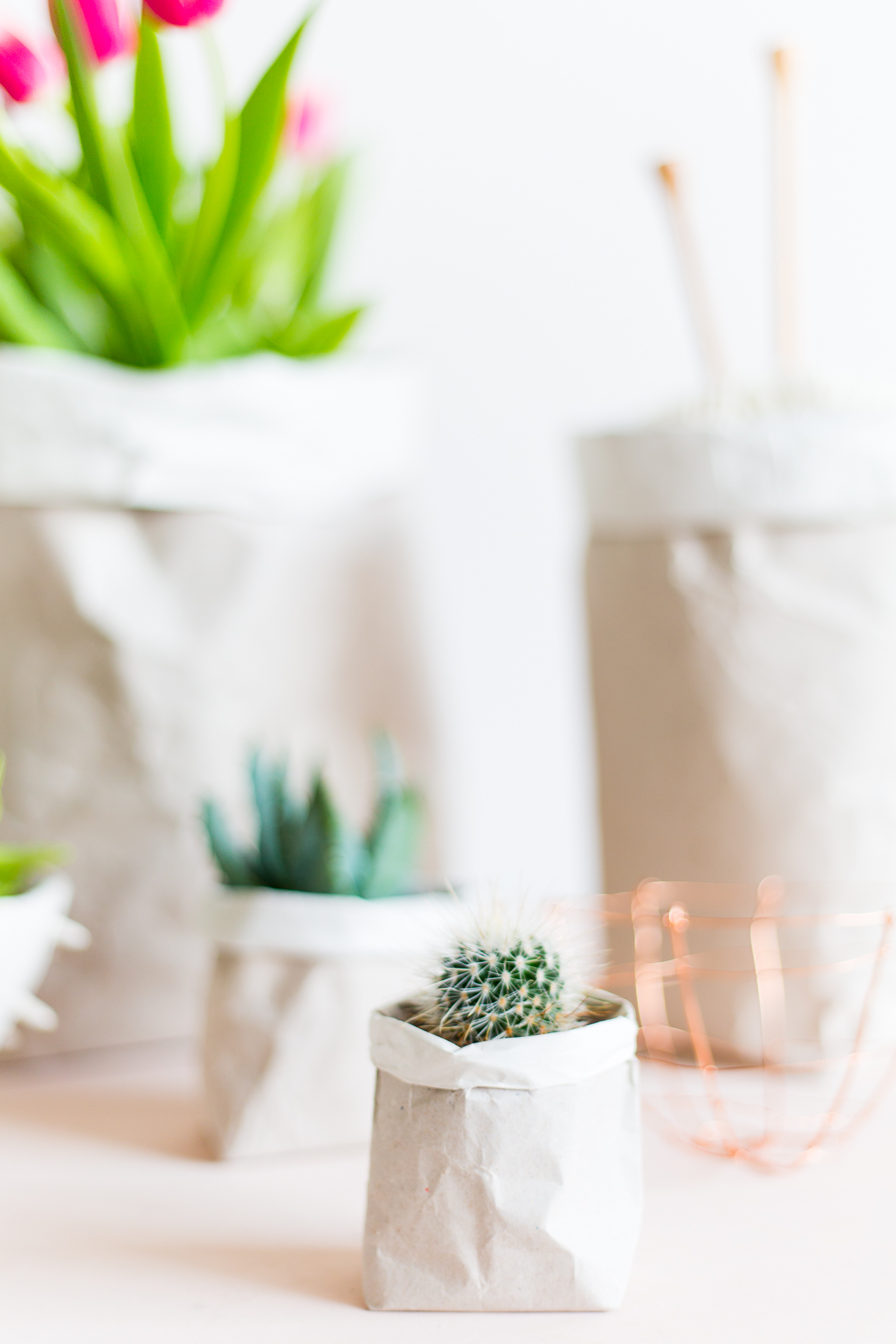 paper sack planter