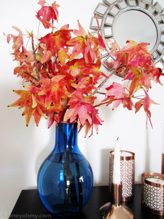 Liquidambar arrangement