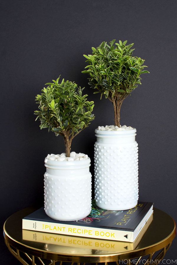 Euonymous Topiaries inspired by The Plant Recipe Book