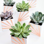 DIY Copper and White Succulent Planters