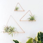 DIY Air Plant Hangers